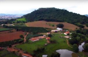 Você sabe o que é cafeicultura regenerativa?