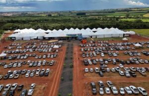 Feira do Cerrado terá espaço exclusivo voltado à pecuária