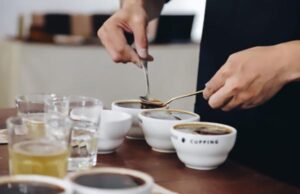 Você sabe como é feita a avaliação do café especial?