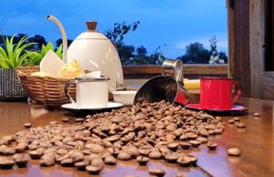 Documentário Meu Mundo Grão trará mulheres como protagonistas no universo do café