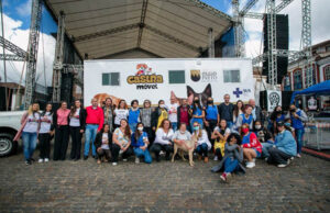 Programas do Governo de Minas melhoram a relação das cidades mineiras com cães e gatos