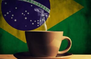 Safra dos Cafés do Brasil estimada em 58,08 mi de sacas em 2024
