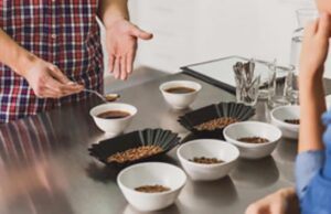 O que é café especial?