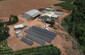 Usina solar em fazenda de café gera economia de R$ 552 mil ao ano