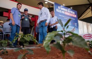 Femagri 2024 foca na sustentabilidade da produção de café