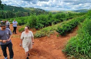 Minas apresenta Plataforma SeloVerde, desenvolvida em conjunto com a União Europeia