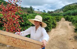 Dia Mundial do Café: cafeicultura transforma vidas em Caratinga, no Vale do Rio Doce