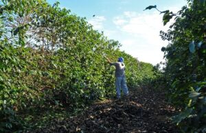 Trabalho análogo à escravidão será debatido em Varginha