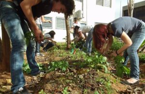 Requerimento nº 343/2024: Plantio de Árvores e Reabilitação da Horta no Centro Educacional Alcides de Paula Braga