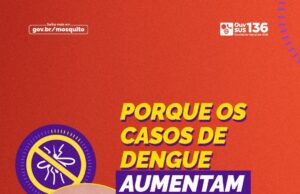 Alerta de Dengue: Verão Exige Atenção Redobrada