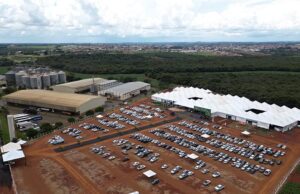 Feira do Cerrado 2025 trabalhará resiliência dos cafeicultores diante das mudanças climáticas