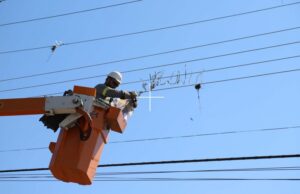 Prefeitura e CPFL Promovem Limpeza de Redes em Monte Santo