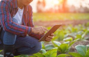 Embrapa facilita acesso a informações cooperativistas na agricultura familiar