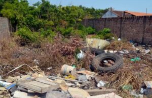 Vereador Solicita Fiscalização Rigorosa em Terrenos Baldios para Combater Dengue e Outras Doenças em Monte Santo de Minas