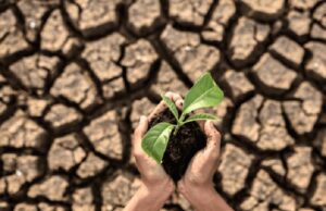 Conservação do solo e sua importância para preservar a vida no planeta