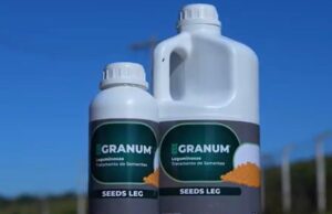 Cooxupé lança linha de fertilizantes foliares Granum para soja e milho