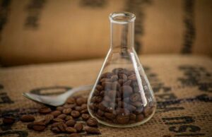 Estudo mostra que extratos de café podem ajudar no controle da dengue