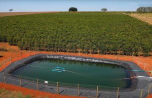 Irrigação garante segurança produtiva e rentabilidade na cafeicultura