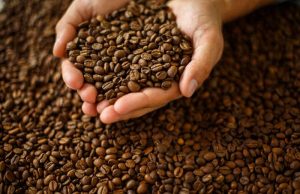 Exportações do agronegócio mineiro crescem com força do café