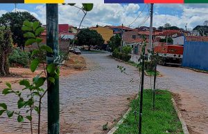 Monte Santo de Minas lança projeto ambiental com plantio de 1.500 mudas