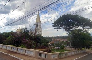 Avaliação técnica é solicitada para árvore Pau-Óleo na Praça da Matriz
