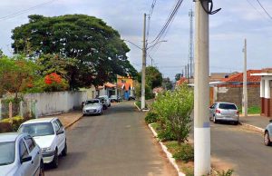 Vereador solicita poda urgente de árvore na Avenida Governador Valadares