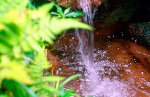 Água para o Jardim