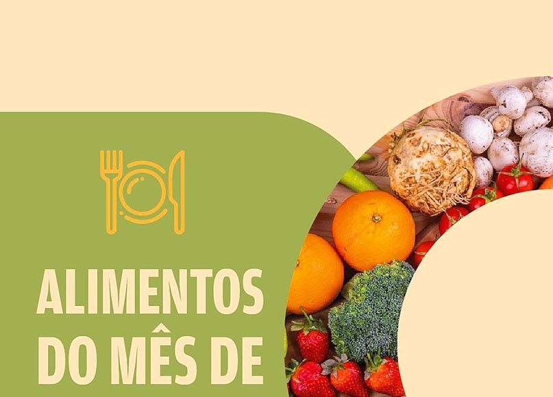 Economia na feira em Monte Santo de Minas