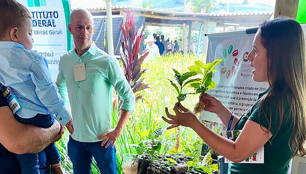 Produtores buscam técnicas para ampliar sustentabilidade na produção de café