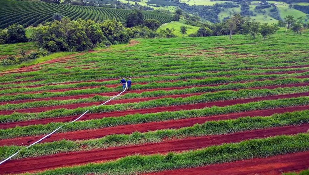 IrrigaNet leva irrigação acessível ao pequeno produtor com solução portátil da Cooxupé