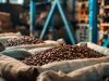 Exportações de café cresceram 3,6% em maio, para 3,1 milhões de sacas