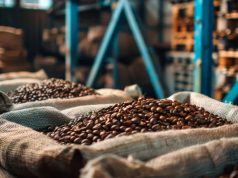 Exportações de café cresceram 3,6% em maio, para 3,1 milhões de sacas
