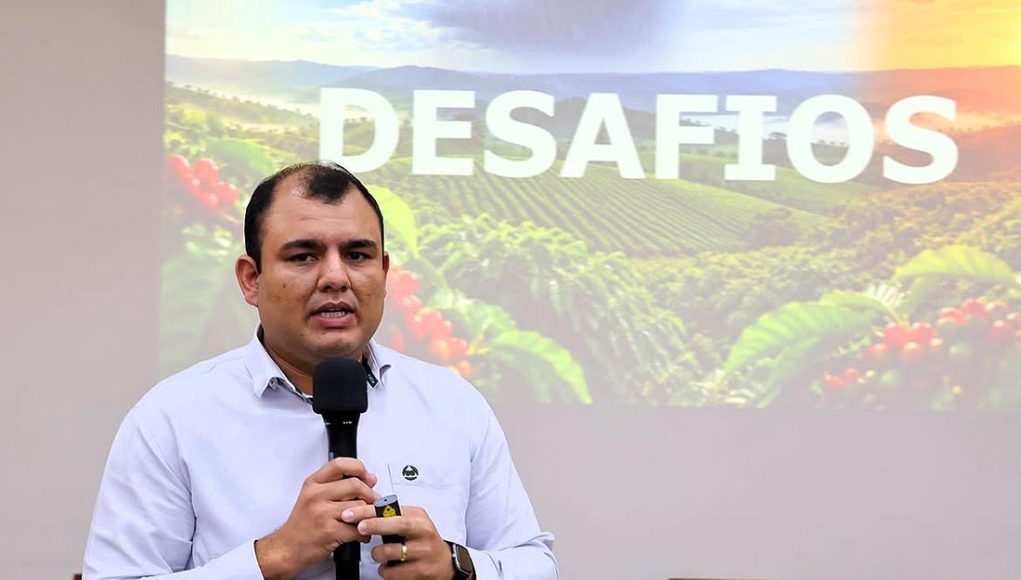 Safra de café mantém bom desempenho, mas El Niño acende alerta para 2027, aponta Fórum Técnico da Cooxupé