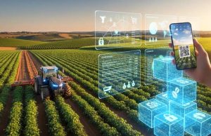 Blockchain no agronegócio amplia rastreabilidade, transparência e competitividade das cadeias produtivas brasileiras