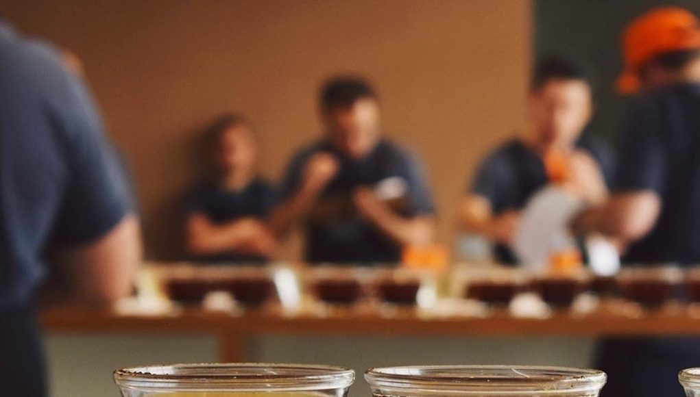 Especialíssimo inicia avaliação de cafés especiais da safra